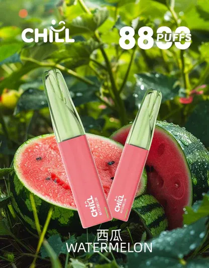 Chill鴨嘴獸8800口拋棄式電子煙 | 清爽特調口味維持舒適低負擔感｜適合喜愛隨行無負擔的輕度社交族