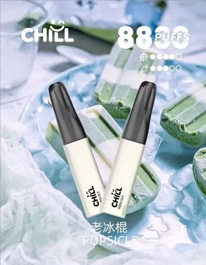 Chill鴨嘴獸8800口拋棄式電子煙 | 清爽特調口味維持舒適低負擔感｜適合喜愛隨行無負擔的輕度社交族