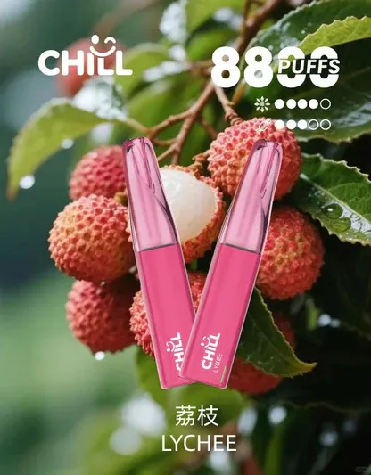 Chill鴨嘴獸8800口拋棄式電子煙 | 清爽特調口味維持舒適低負擔感｜適合喜愛隨行無負擔的輕度社交族