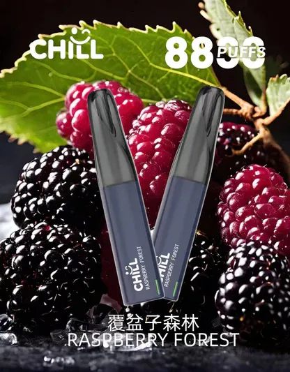 Chill鴨嘴獸8800口拋棄式電子煙 | 清爽特調口味維持舒適低負擔感｜適合喜愛隨行無負擔的輕度社交族